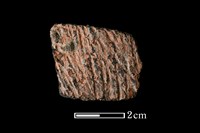 陶片藏品圖，第1張